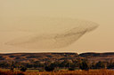 BUITEN BEELD Foto: 49441