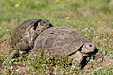 BUITEN BEELD Foto: 49475