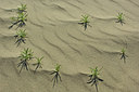 BUITEN BEELD Foto: 49479