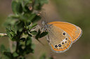 BUITEN BEELD Foto: 49493