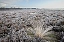 BUITEN BEELD Foto: 49495