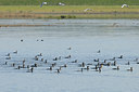 BUITEN BEELD Foto: 49577