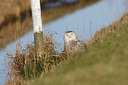 BUITEN BEELD Foto: 49606