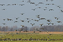 BUITEN BEELD Foto: 49616