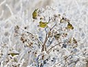 BUITEN BEELD Foto: 49655