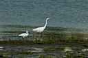 BUITEN BEELD Foto: 49656