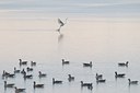 BUITEN BEELD Foto: 49658