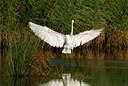 BUITEN BEELD Foto: 49660
