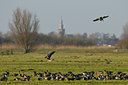 BUITEN BEELD Foto: 49738