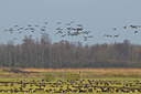 BUITEN BEELD Foto: 49739