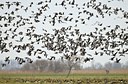 BUITEN BEELD Foto: 49753