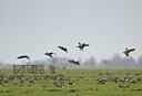 BUITEN BEELD Foto: 49765