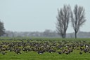 BUITEN BEELD Foto: 49770