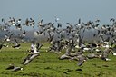 BUITEN BEELD Foto: 49772