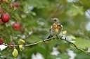 BUITEN BEELD Foto: 49815