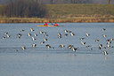 BUITEN BEELD Foto: 49819