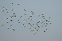 BUITEN BEELD Foto: 49821