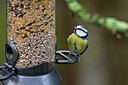 BUITEN BEELD Foto: 49838