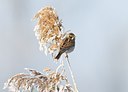 BUITEN BEELD Foto: 49857