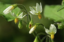 BUITEN BEELD Foto: 49958