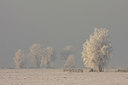 BUITEN BEELD Foto: 50056
