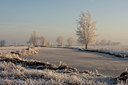 BUITEN BEELD Foto: 50057