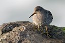 BUITEN BEELD Foto: 50123