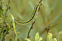BUITEN BEELD Foto: 50153