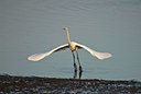 BUITEN BEELD Foto: 50187