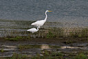 BUITEN BEELD Foto: 50190