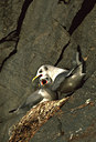 BUITEN BEELD Foto: 50335