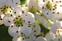 BUITEN BEELD Foto: 50401