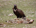 BUITEN BEELD Foto: 50405