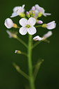BUITEN BEELD Foto: 50408