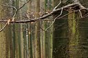 BUITEN BEELD Foto: 50464