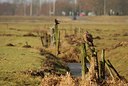 BUITEN BEELD Foto: 50471