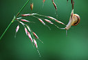 BUITEN BEELD Foto: 50505