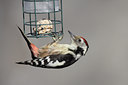 BUITEN BEELD Foto: 50509
