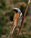 BUITEN BEELD Foto: 50571