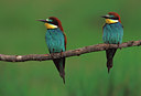 BUITEN BEELD Foto: 50588