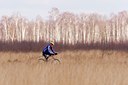 BUITEN BEELD Foto: 50592