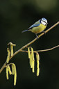BUITEN BEELD Foto: 50671