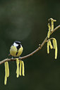 BUITEN BEELD Foto: 50675