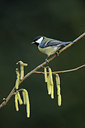 BUITEN BEELD Foto: 50681