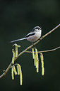 BUITEN BEELD Foto: 50684
