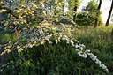 BUITEN BEELD Foto: 50696