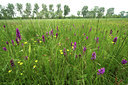 BUITEN BEELD Foto: 50697