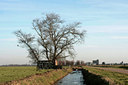 BUITEN BEELD Foto: 50722