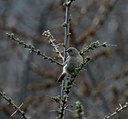 BUITEN BEELD Foto: 50826