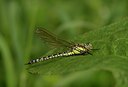 BUITEN BEELD Foto: 50901